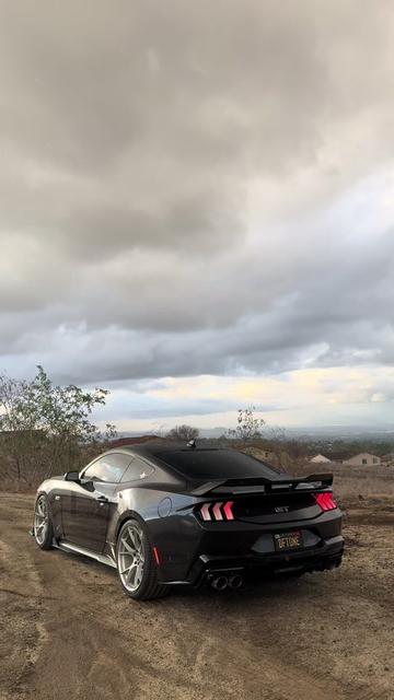 @alt_pony