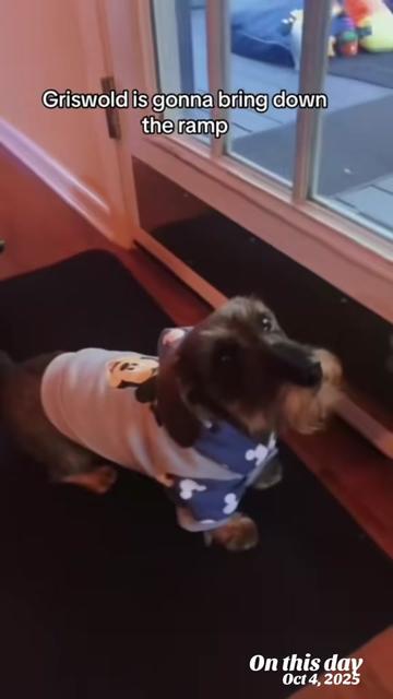 @dr.adam_christman_Veterinarian