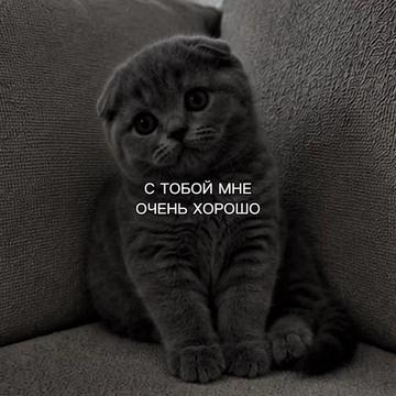 @ХХИКА