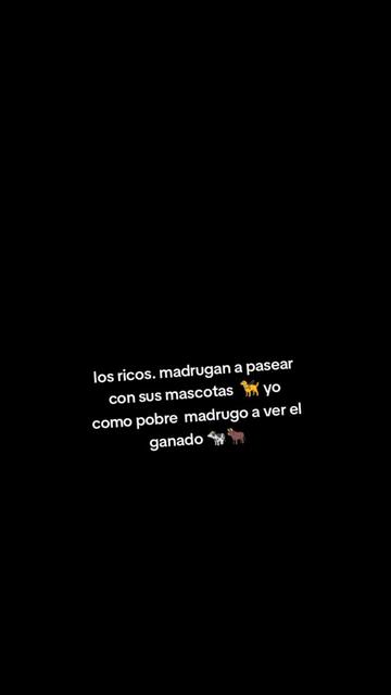 @ZOBEYDAPOMITA