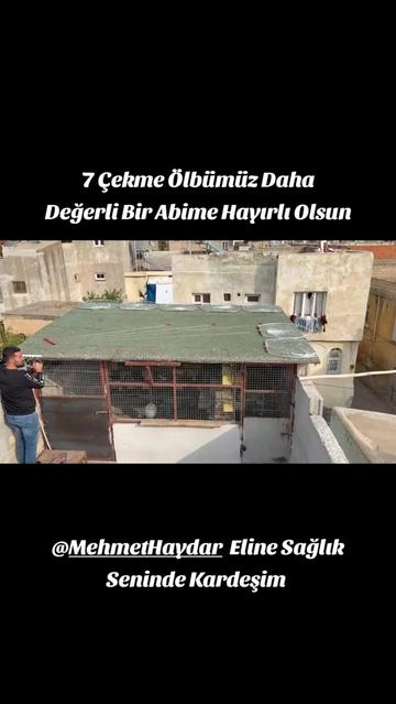 @ÇİLOĞLU KLASİĞİ