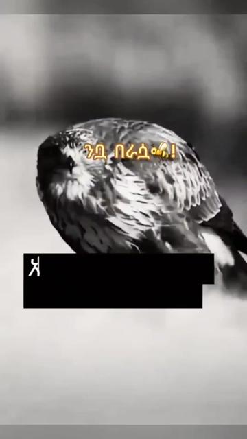 @ፋፊ የአላህ ባሪያ አሰኪ አተታቃለህ አላህየ
