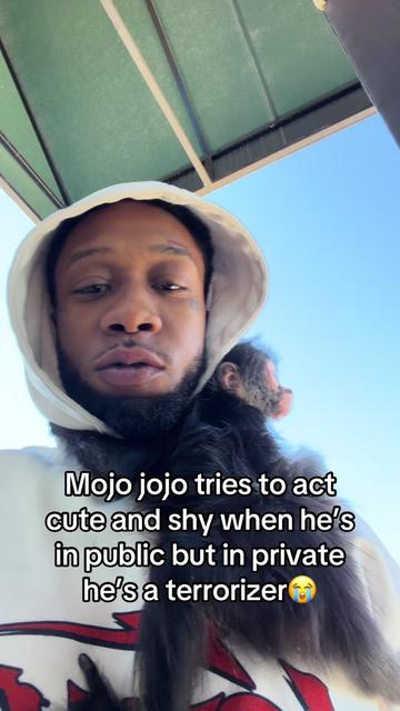 @OJTV & Mojo Jojo🧡