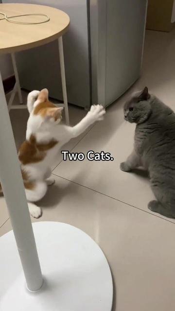 @Haha Humans