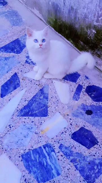 @The_Sky^$alôôñ•&•Spä
