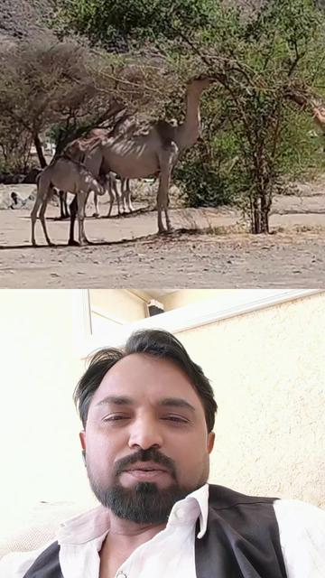 @Anwar Hussain