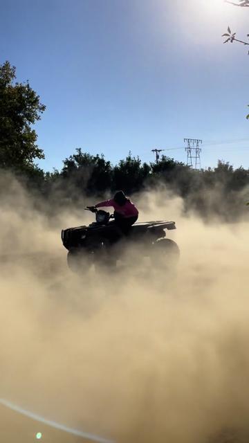 @🦁