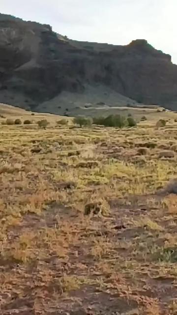 @SaddleButte_RC