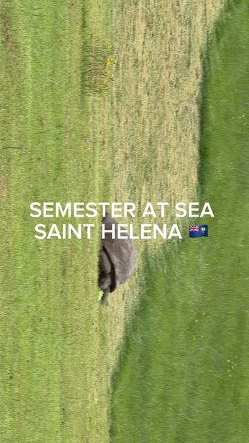 @michelleatseaa