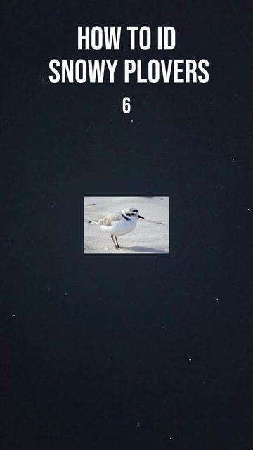 @Nature is Surreal