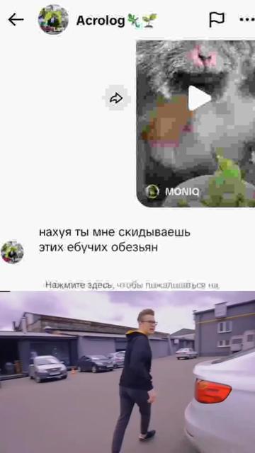 @Acrolog🦎🌱
