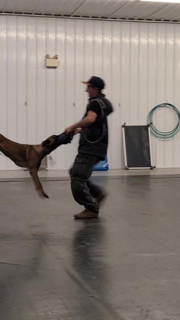 @Kavik.K9