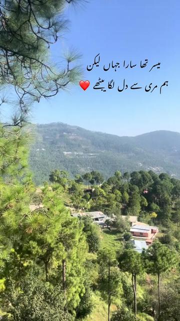 @Danish Qamar