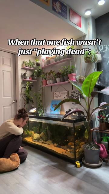 @jessunderwater