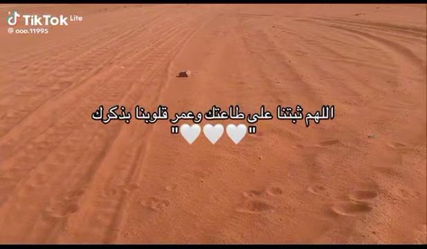 @انس الشامي