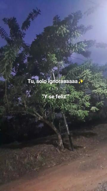 @anita 🌻