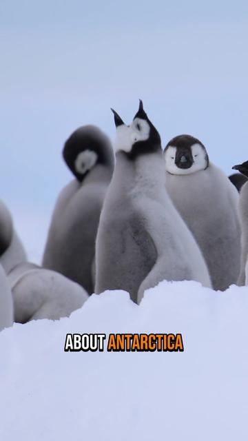 @Matty Jordan | Antarctica