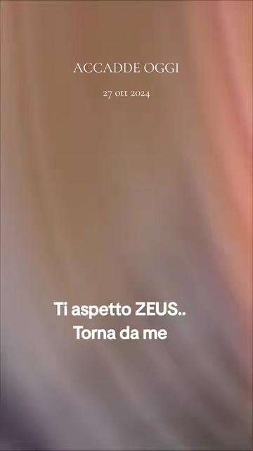 @Moni Monik