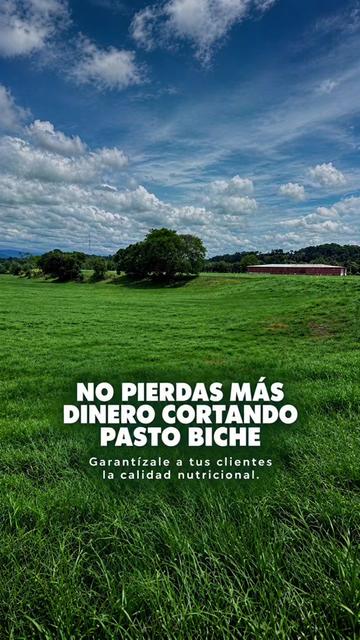 @Rehagronegocios