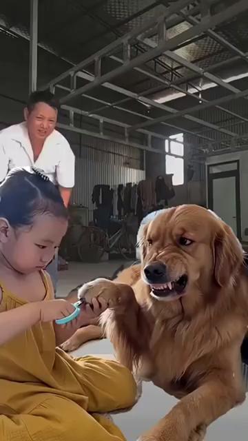 @Funny🤣🤣🤣 Kinng