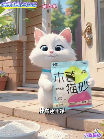 @小致猫砂国内外招代理商