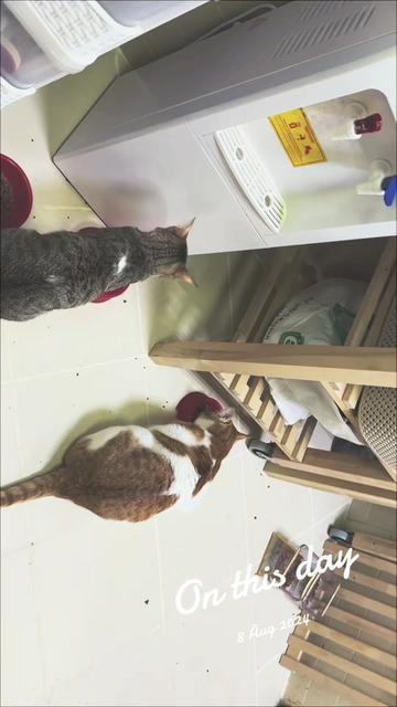 @Father5cats