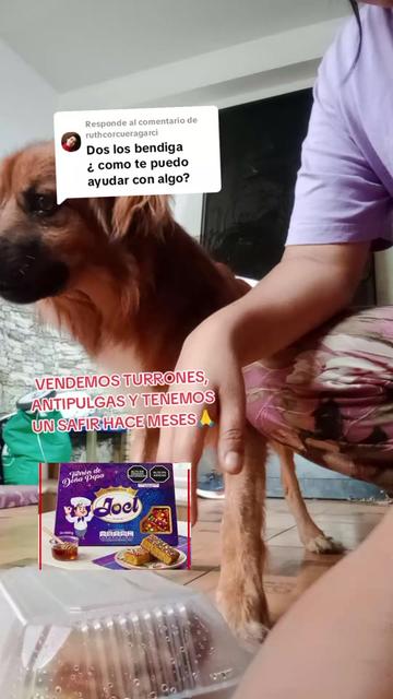 @Asociación T.Perrunas🐕🐈🇵🇪