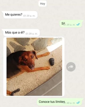 @H0ney.Sofi