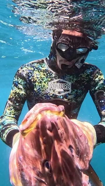 @Venture Wetsuits