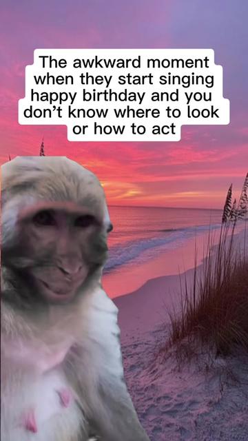 @meme