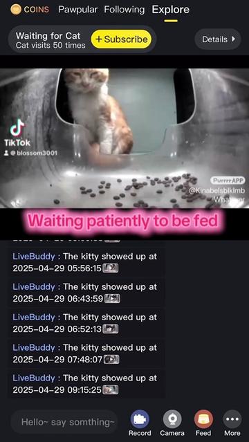 @purrrr