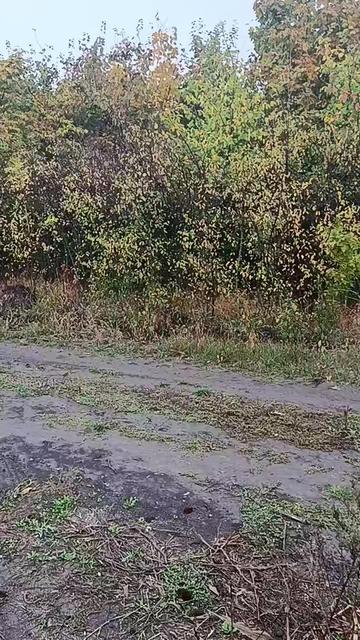 @Відьмочка ☠️👹