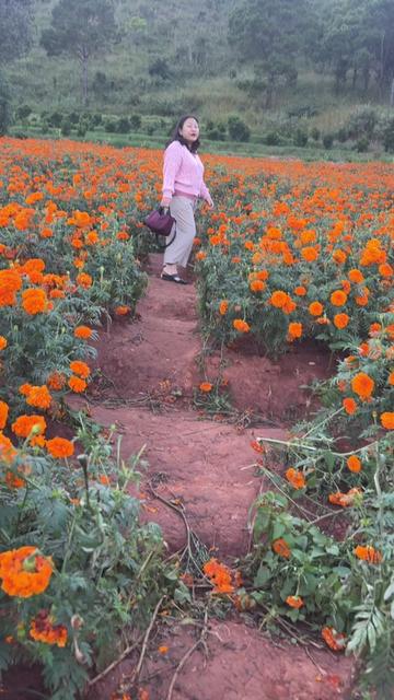 @အင်ကြင်းခိုင် အထည်ဆိုင်
