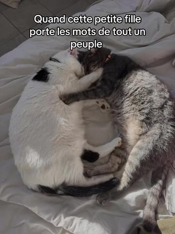 @❤️🐑 Laure ❤️🐑