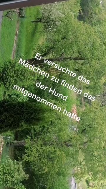 @❤️ Tiere ❤️