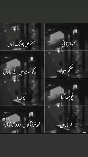 @Mehwish_With_USA