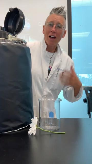 @Chemical Kim