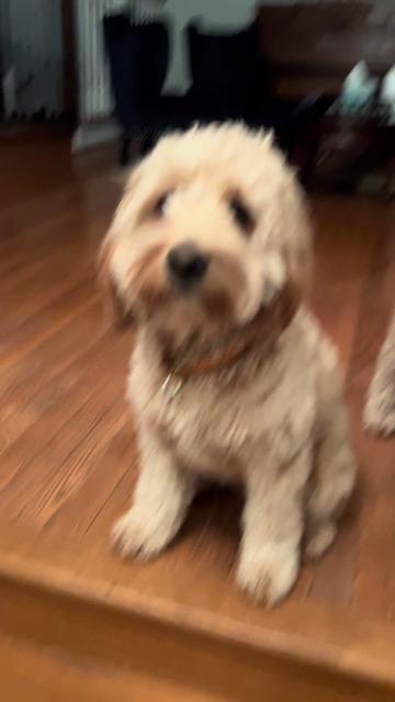 @Nood the Dood
