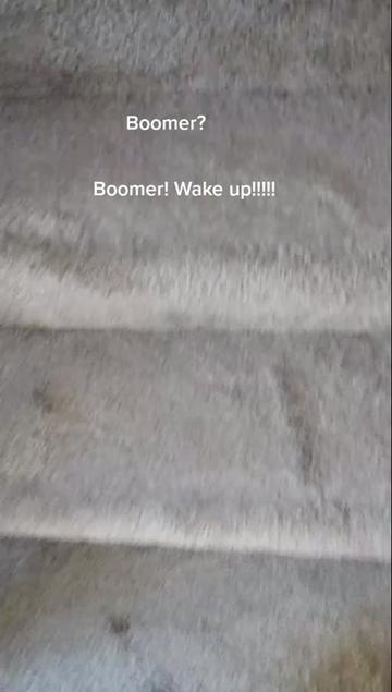 @BOOMER
