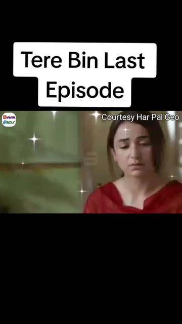 @Tattri Expert