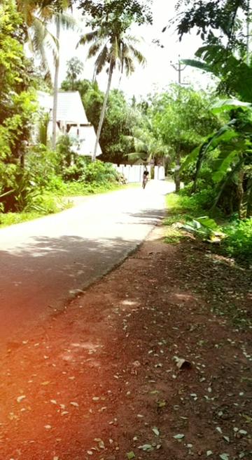 @dhanuz