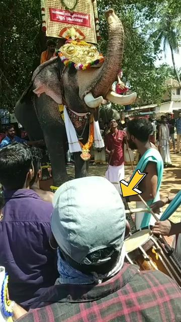 @bharathpmk321