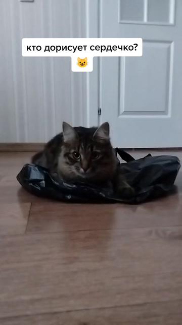 @Марсик😺💖