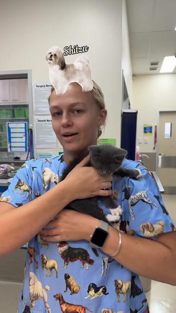 @James Street Vet