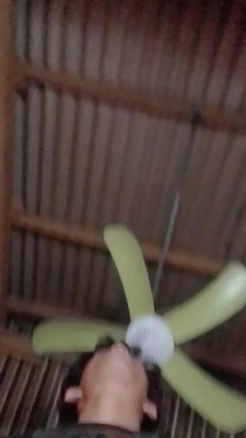 @rehenamae12✨