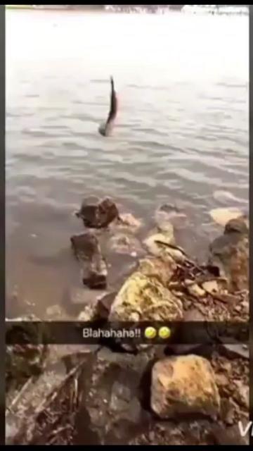 @J3RRY_H3R