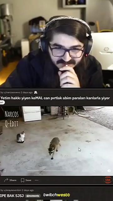 @twitch Klip Alemi