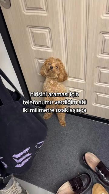 @rolland