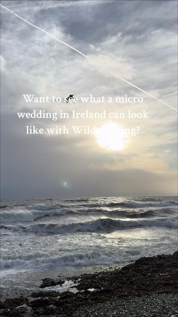 @wilde_dining_events