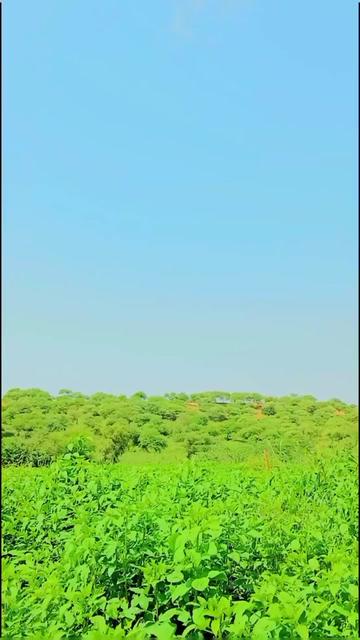 @منھنجو ملڪ ملير